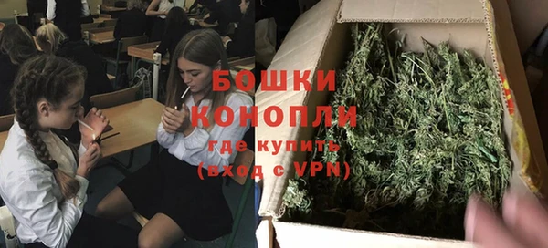 тгк Михайлов